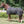 Couverture d'écurie Stallion 200 g bavette peluche, noir