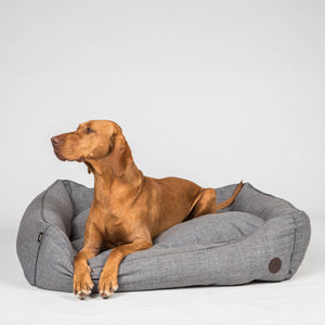 Καλάθι για σκύλο "Rocky" Back on Track