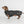 Manteau long pour chien 