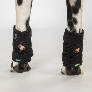 Protecții pentru laba din față "Milo" Back on Track