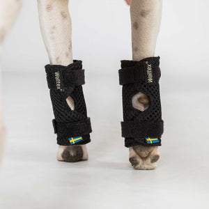 Protecții pentru laba din față "Milo" Back on Track