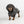 Manteau long pour chien 