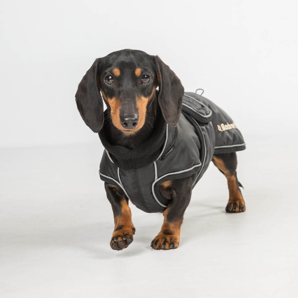 Manteau long pour chien "Buddy" Back on Track