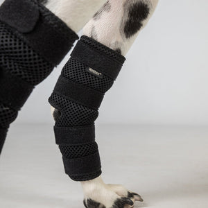 Protezioni per articolazioni per cani Dixie Back on Track