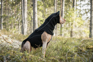 Κασκόλ για σκύλο Benji Back on Track