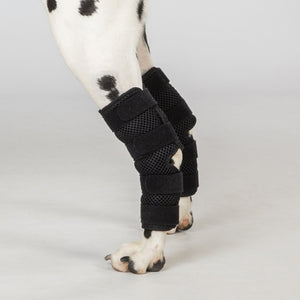 Protezioni per articolazioni per cani Dixie Back on Track