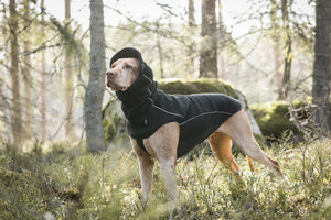 Κασκόλ για σκύλο Benji Back on Track