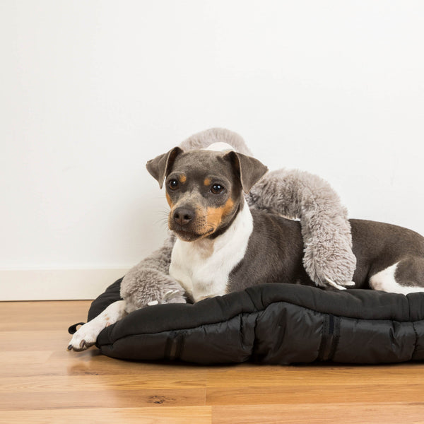 Matelas de voyage pour chien Back on Track