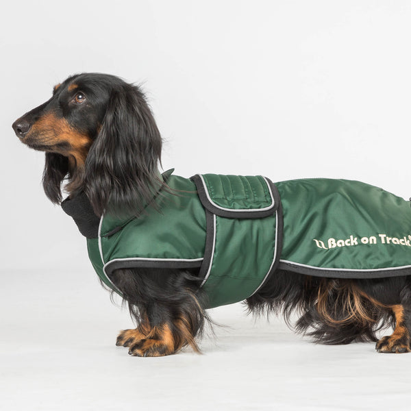 Manteau long pour chien "Buddy" Back on Track