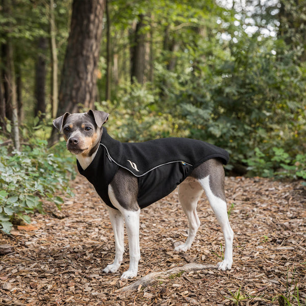 Cappotto per cani “Eddie” Alta visibilità Back on Track