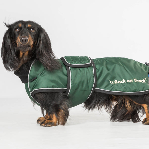 Manteau long pour chien "Buddy" Back on Track