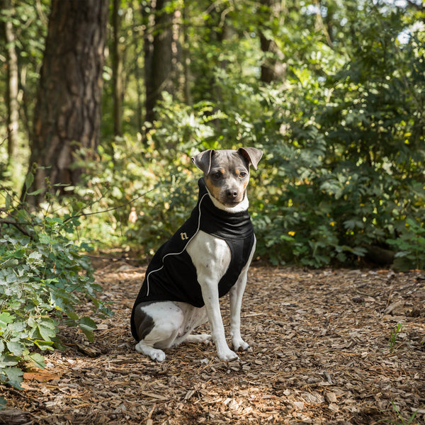 Cappotto per cani “Eddie” Alta visibilità Back on Track