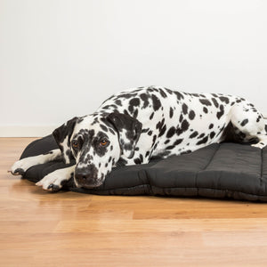 Utazó matrac kutyáknak Back on Track