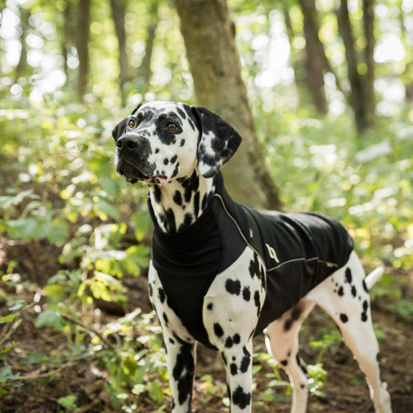 Cappotto per cani “Eddie” Alta visibilità Back on Track