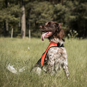 Kamizelka odblaskowa dla psa POINT Back on Track