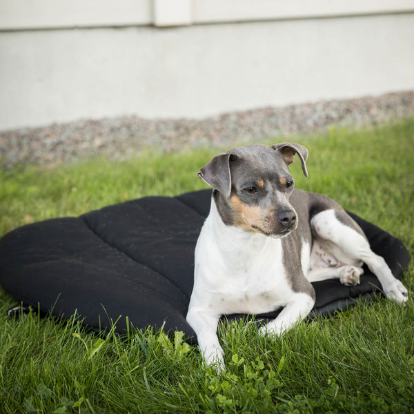 Matelas de voyage pour chien Back on Track