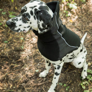 Κασκόλ για σκύλο Benji Back on Track