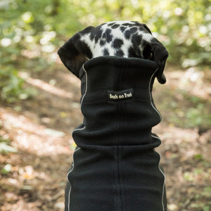 Κασκόλ για σκύλο Benji Back on Track