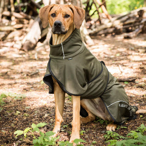 Manteau Filet pour Chien Queue Basse BAY Back on Track