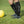 Calze alte Noah Back on Track