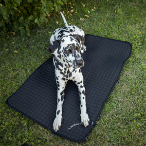 Alfombrilla multiuso para perro "Allround" Back on Track