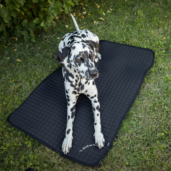 Matelas pour chien "Allround" Back on Track