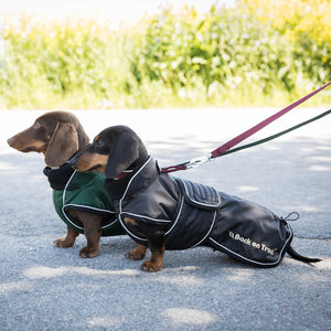 Manteau long pour chien "Buddy" Back on Track