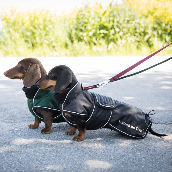 Manteau long pour chien "Buddy" Back on Track