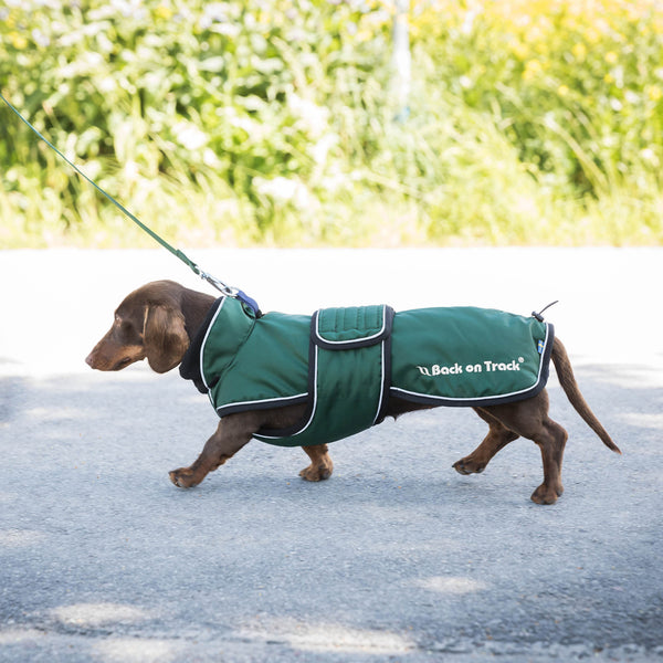 Manteau long pour chien "Buddy" Back on Track