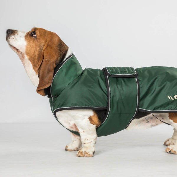 Manteau long pour chien "Buddy" Back on Track