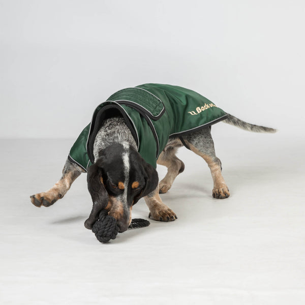 Manteau long pour chien "Buddy" Back on Track