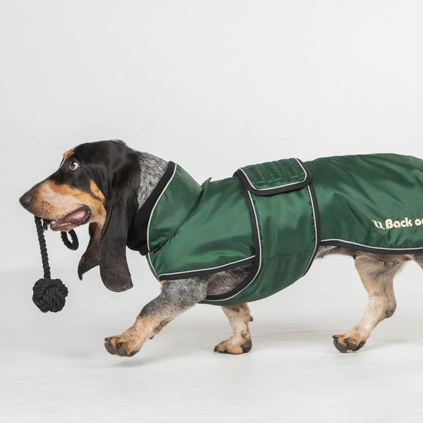 Manteau long pour chien "Buddy" Back on Track