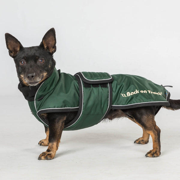 Manteau long pour chien "Buddy" Back on Track