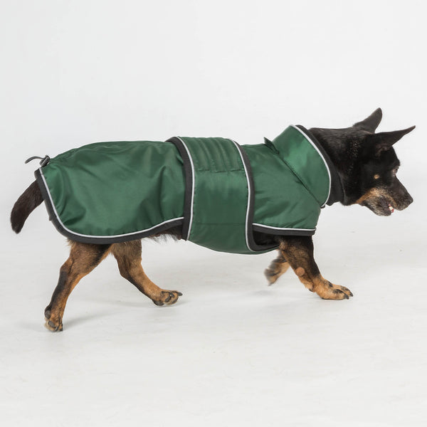 Manteau long pour chien "Buddy" Back on Track