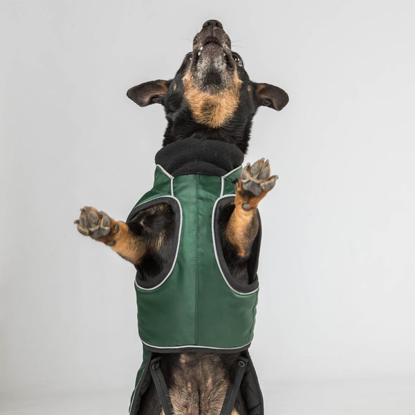 Manteau long pour chien "Buddy" Back on Track