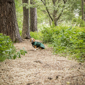 Manteau long pour chien "Buddy" Back on Track