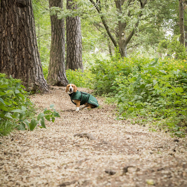 Manteau long pour chien "Buddy" Back on Track