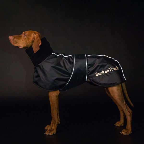 Manteau pour lévrier "Whippet" Back on Track