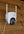 Woof Wear – Caméra 4G de pré et d'écurie Woof Wear Blanc 5 | Sellerie Bucéphale