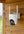 Woof Wear – Caméra 4G de pré et d'écurie Woof Wear Blanc 8 | Sellerie Bucéphale