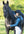 Woof Wear – Couvre-casque convertible Woof Wear Black 4 | Sellerie Bucéphale