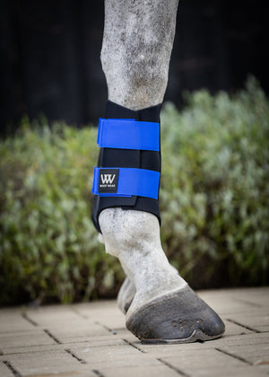 Woof Wear – Guêtres Club Woof Wear Electric Blue | Sellerie Bucéphale