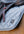 Woof Wear – Tapis de selle Vision Aura Close Contact Woof Wear Steel Blue 3 | Sellerie Bucéphale