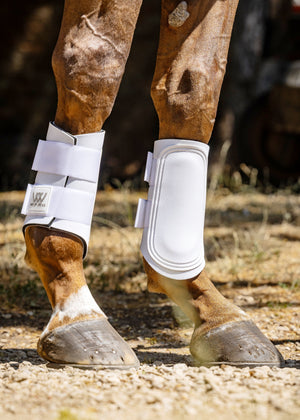 Woof Wear – Guêtres Club Woof Wear Blanc 2 | Sellerie Bucéphale