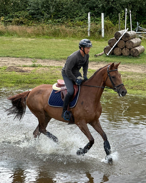 Cizme Petrie Explorer