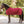 Chemise séchante polaire Noble, baie