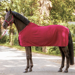 Chemise séchante polaire Noble, baie