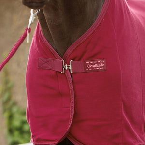 Chemise séchante polaire Noble, baie
