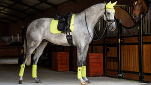 Le Mieux – Tapis de Dressage Suede Square LeMieux    | Sellerie Bucéphale