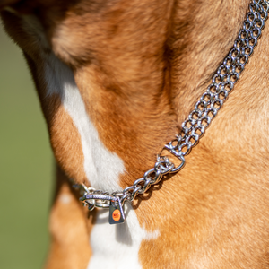 Collier chaîne Sprenger martingale à double rangée maillons plats polis acier inoxydable 2 mm